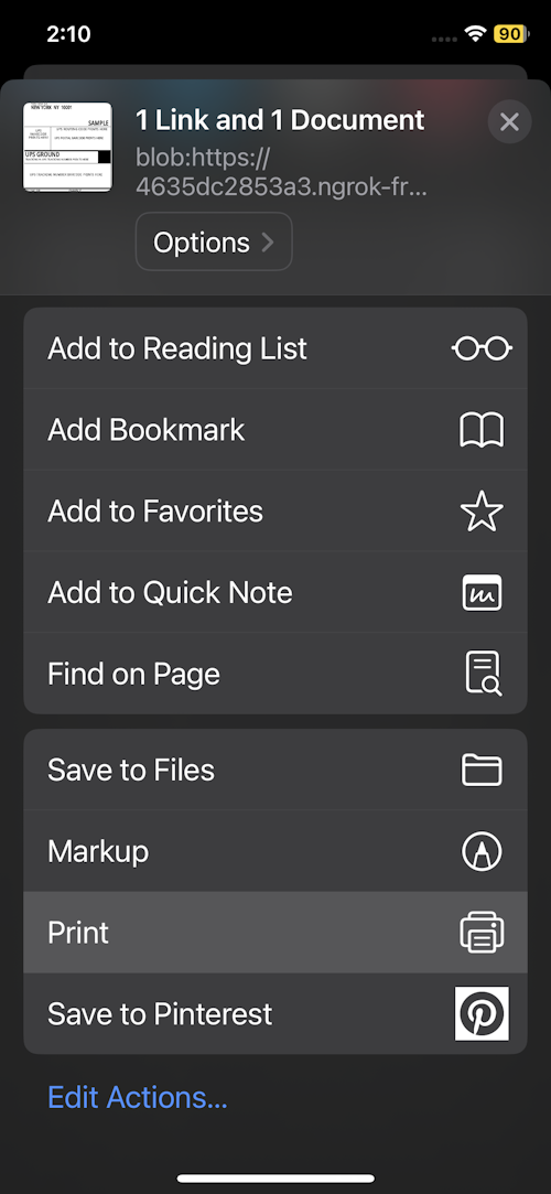 iPhone Share sheet with Print option